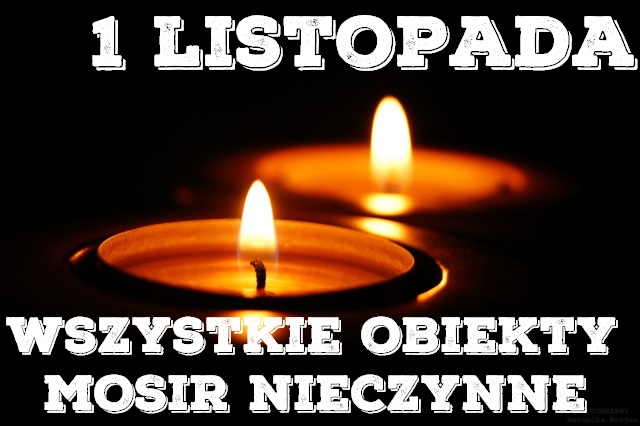 52 znicz opiekunka gowork pl
